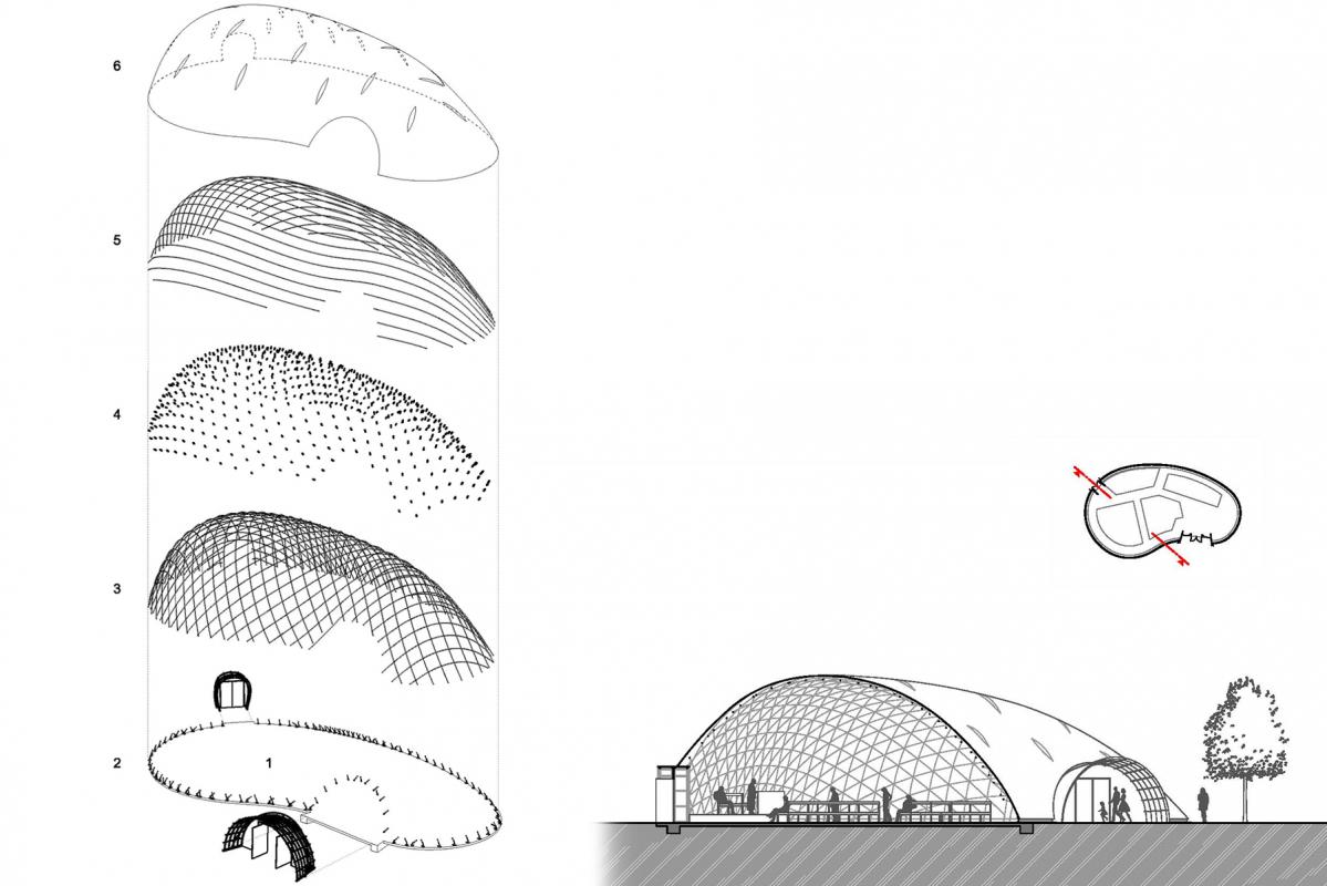 Composition de la structure.